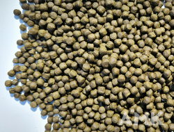 Koi Coppens Spirulina - sáček ZIP - 5000g