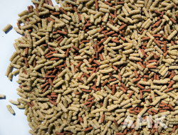 Pond Stick Color - sáček ZIP - 3000g