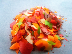 Goldfish Flakes - sáček ZIP - 3000g